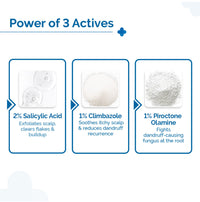 The Derma Co Triple Actives Anti-Dandruff Shampoo | 200ml