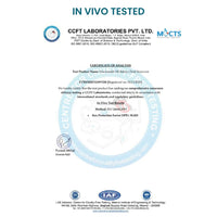 Wish Care Niacinamide Oil Balance Fluid Sunscreen | SPF50 PA++++ (50gm)